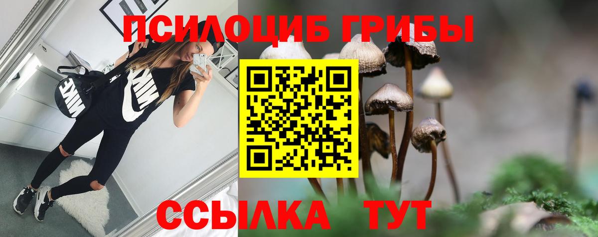 Назрань  Галлюциногенные грибы Psilocybine cubensis  Вход с VPN 