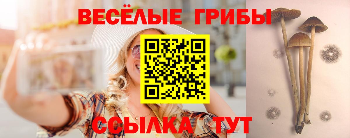 Галлюциногенные грибы MAGIC MUSHROOMS Назрань