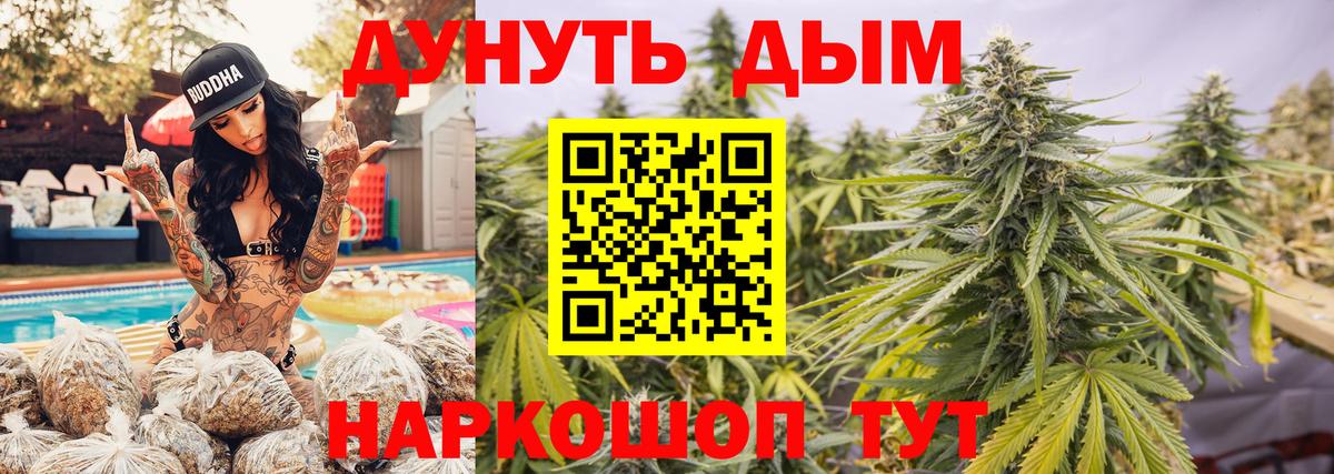 Бошки марихуана OG Kush Назрань